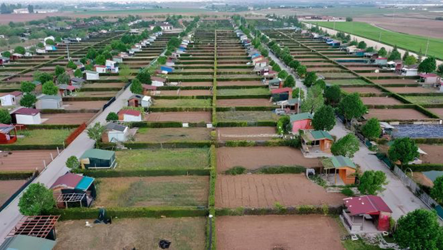 Üç bakanlık harekete geçti, hobi bahçelerinde büyük temizlik başlıyor