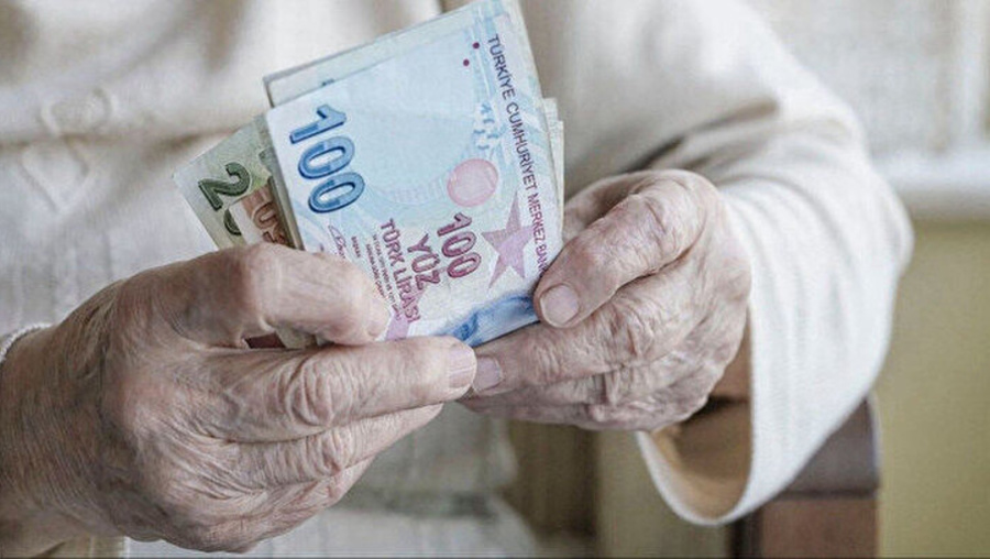 Tamamlayıcı Emeklilik Sistemi yeni OVP'de yok