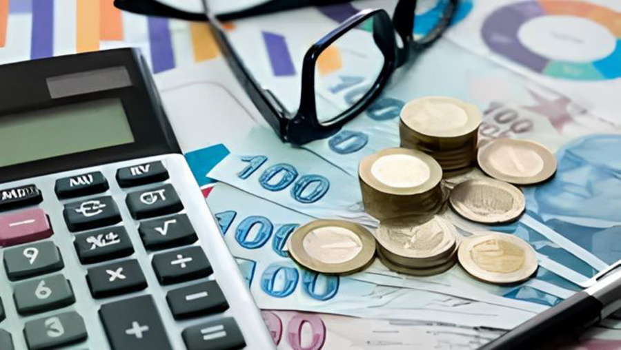 Prof. Çelik: Emekli ikramiyesi düştü, faize ayrılan pay arttı