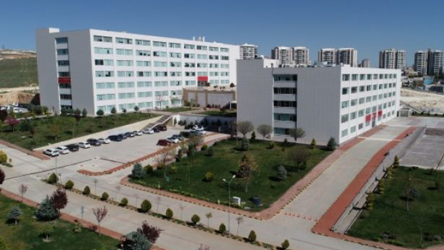 Skandal atamaya savunma: 'Profesör yoktu mecbur kaldık'
